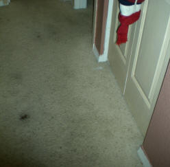 Carpet Cleaning Before Picture